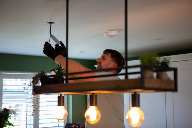 Best Electrical System Inspection  in East Niles, CA